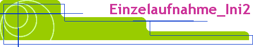 Einzelaufnahme_Ini2